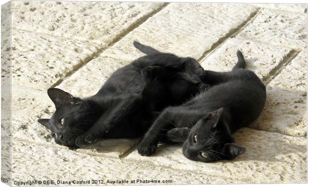 Black kittens tired from tussle Canvas Print by DEE- Diana Cosford