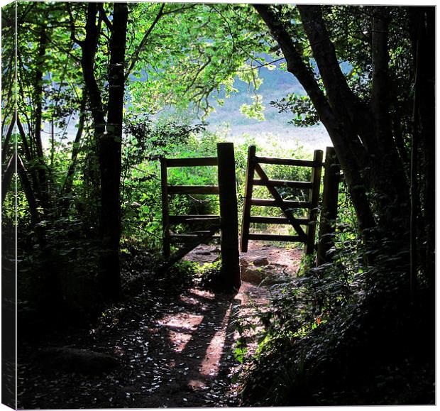 Footpath gateway Dartmoor Canvas Print by DEE- Diana Cosford