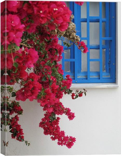 Deep Red Bougainvillaea Greece Canvas Print by DEE- Diana Cosford