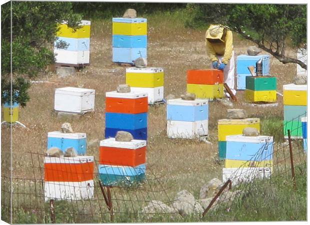 Colourful Greek Honey Hives Beekeeper Canvas Print by DEE- Diana Cosford