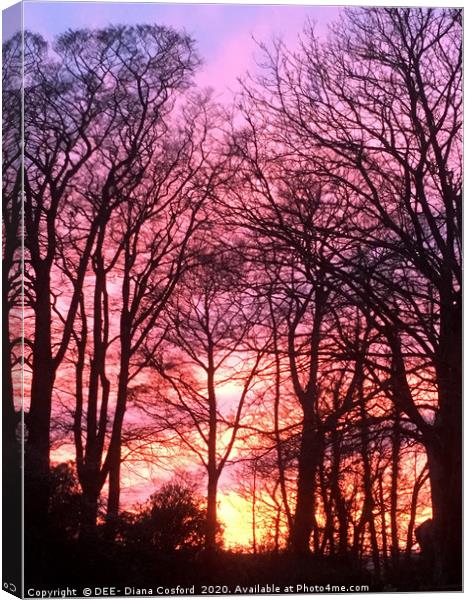Sunset through Trees in Cumbria, The Lake District Canvas Print by DEE- Diana Cosford