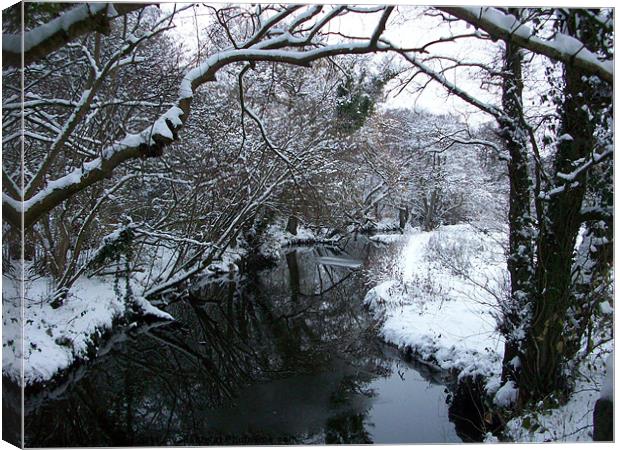 cold days. Canvas Print by karen grist