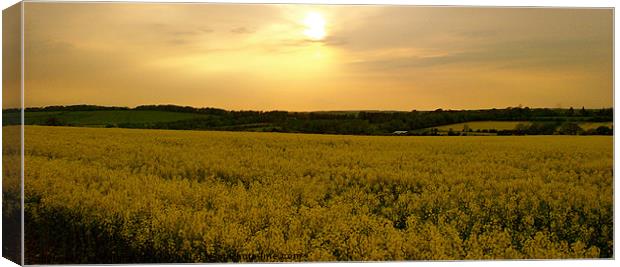 Sunset over Winchester Canvas Print by karen grist