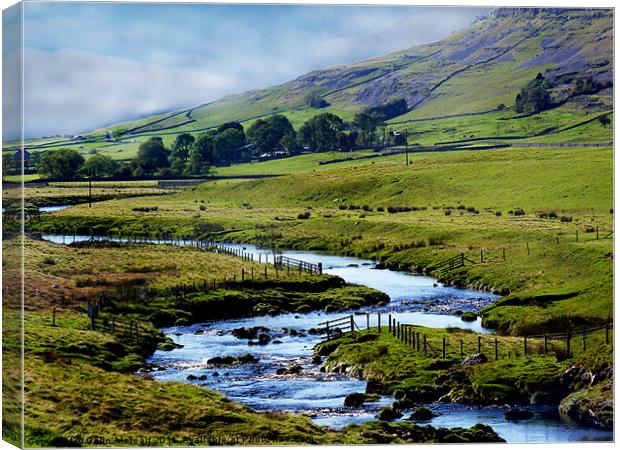Dales View Canvas Print by Colin Metcalf