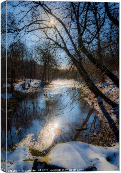 Reflected Winter Sun Canvas Print by Colin Metcalf