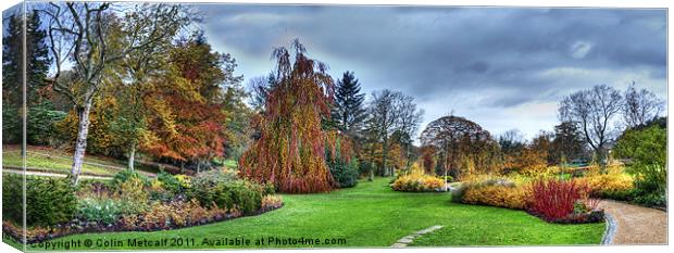 Harlow Carr Panorama Canvas Print by Colin Metcalf