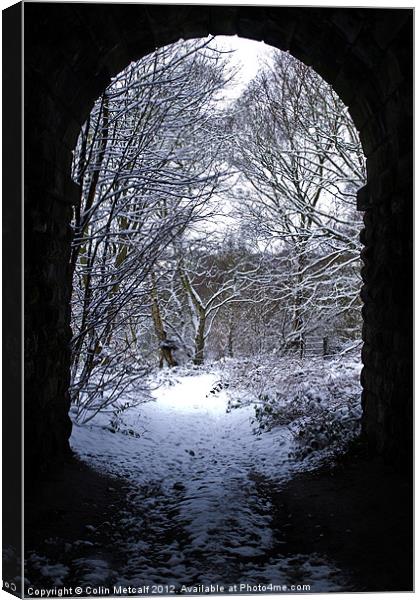 Winter Arch Canvas Print by Colin Metcalf