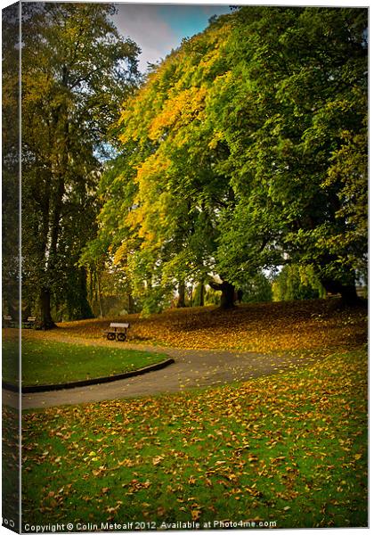 Autumn at Valley Gardens Canvas Print by Colin Metcalf