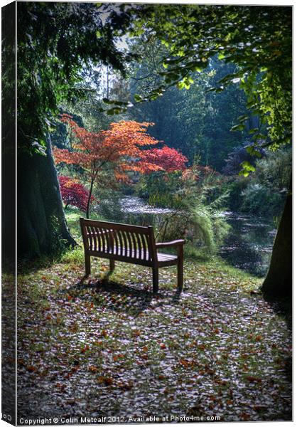 Meditation Seat Canvas Print by Colin Metcalf