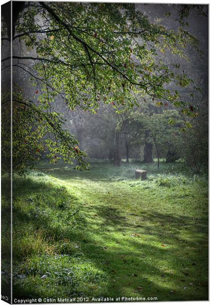 Misty Memories Canvas Print by Colin Metcalf