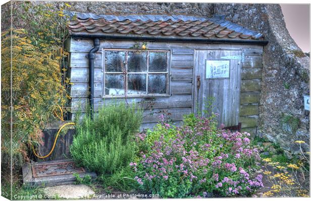 Gertrude Jekylls potting shed Canvas Print by Colin Metcalf