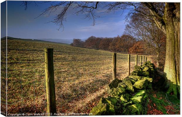 Chevin Dry Stone Wall #1 Canvas Print by Colin Metcalf
