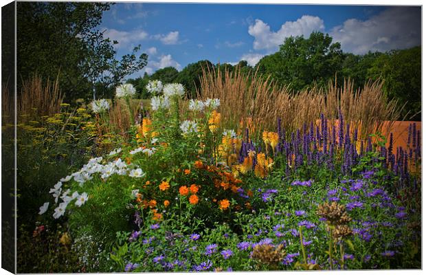 Late Summer Blooms Canvas Print by Colin Metcalf