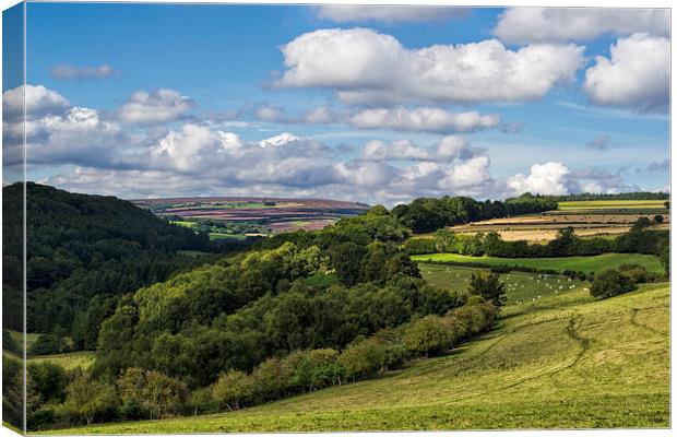  Surprise View Canvas Print by Colin Metcalf