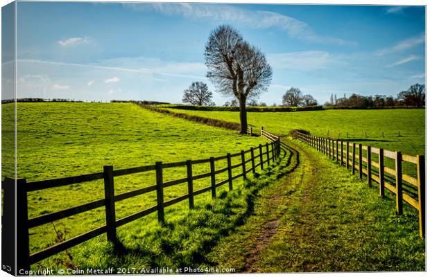 The Bridleway. Canvas Print by Colin Metcalf