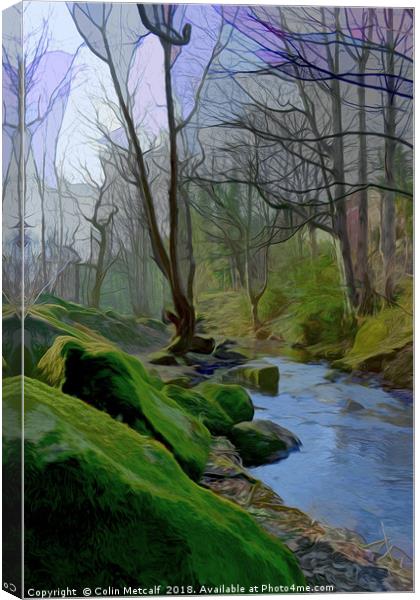 Woodland Stream Canvas Print by Colin Metcalf