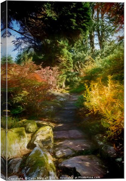 Rocky Path Canvas Print by Colin Metcalf