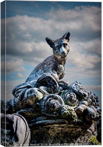 The Fox Sculpture Canvas Print by Colin Metcalf