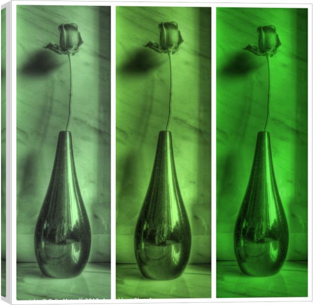 Rose Triptych in Green Canvas Print by Colin Metcalf