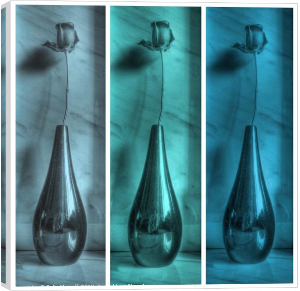 Rose Triptych in Blue Canvas Print by Colin Metcalf