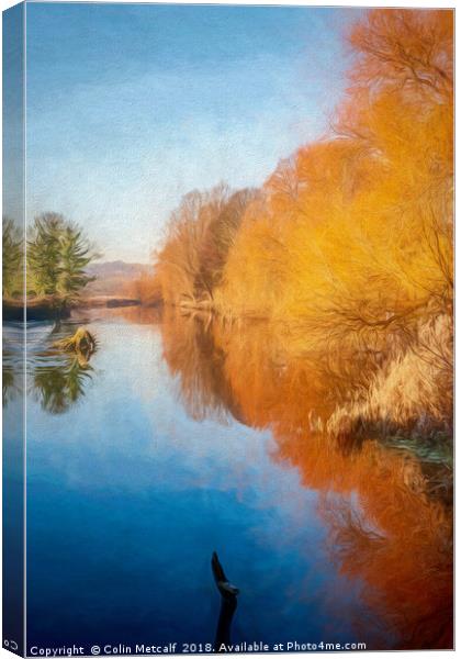 Winter Sun on the Aire Canvas Print by Colin Metcalf