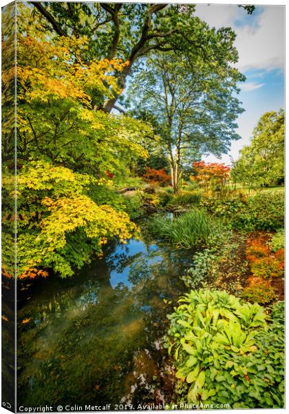 Streamside Canvas Print by Colin Metcalf