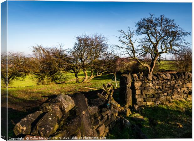 In a State of Disrepair Canvas Print by Colin Metcalf