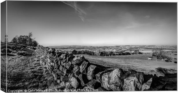 Dry Stone Walling in Mono Canvas Print by Colin Metcalf
