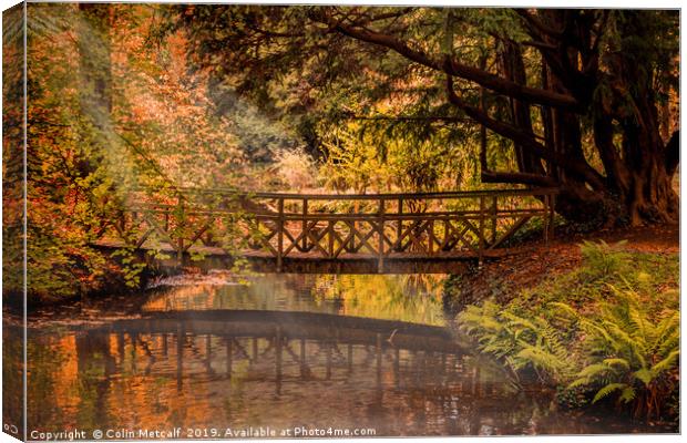 Autumn Light Canvas Print by Colin Metcalf