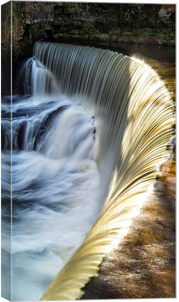 Caldermill Falls,Lochwinnoch Canvas Print by Geo Harris
