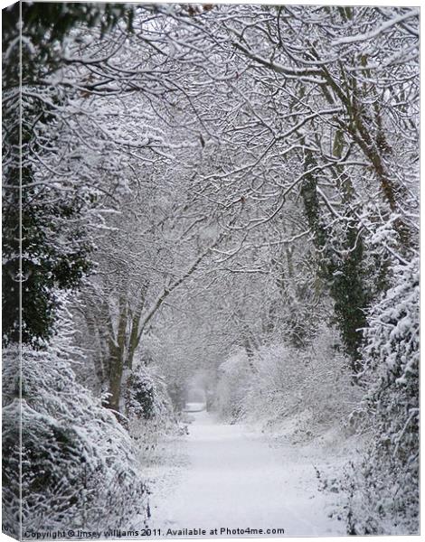 Snowy path Canvas Print by Linsey Williams