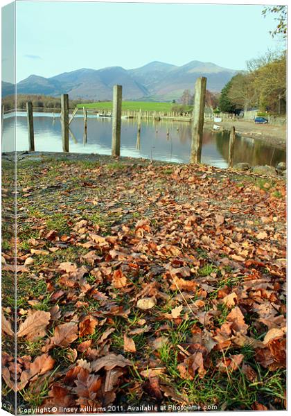 Skiddaw Canvas Print by Linsey Williams