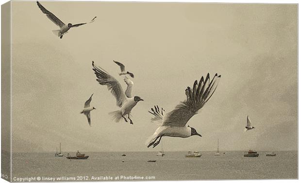 Gulls Canvas Print by Linsey Williams