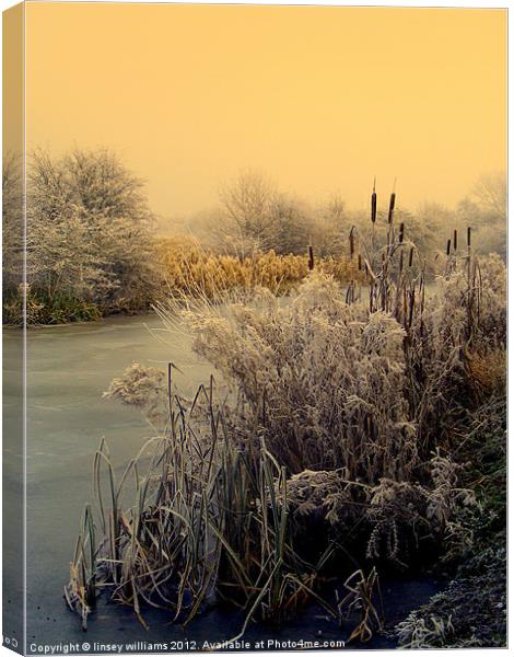FROST Canvas Print by Linsey Williams