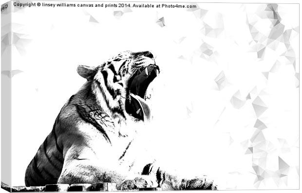  High Key Tiger Yawn Canvas Print by Linsey Williams
