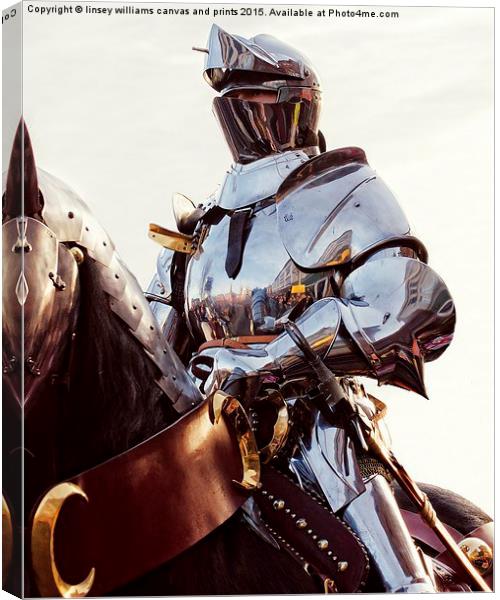 Knight In Shining Armour  Canvas Print by Linsey Williams