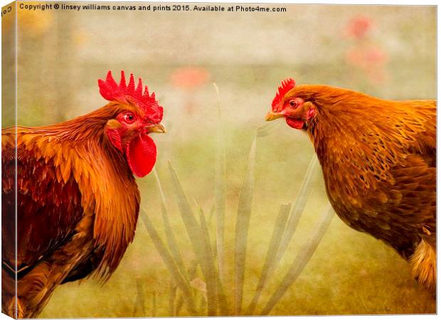  Hen Party, Do You Come Here Often? Canvas Print by Linsey Williams