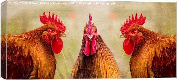 Hen Party, GULP! Canvas Print by Linsey Williams