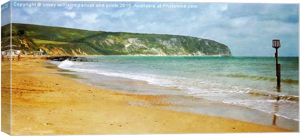  Sunshine On The Isle Of Purbeck Canvas Print by Linsey Williams