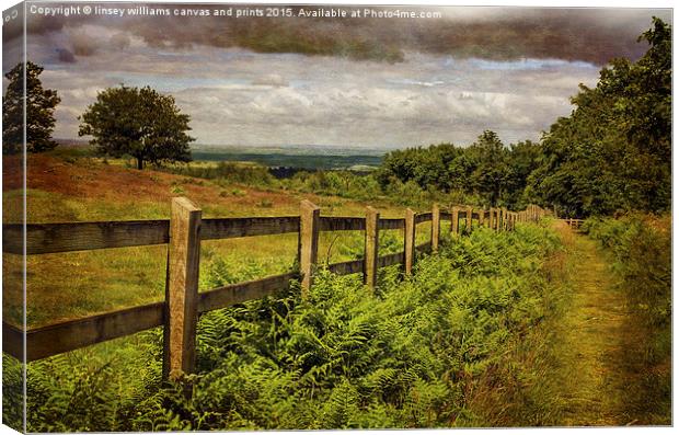  A Path From A Hill Canvas Print by Linsey Williams