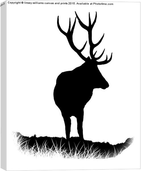  Monarch Of The Park Silhouette Canvas Print by Linsey Williams