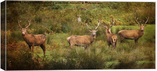 Stag Party The Boys Canvas Print by Linsey Williams