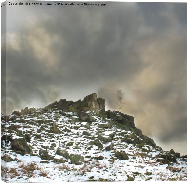 Ominous Clouds Over Beacon Hill, Leicestershire. Canvas Print by Linsey Williams