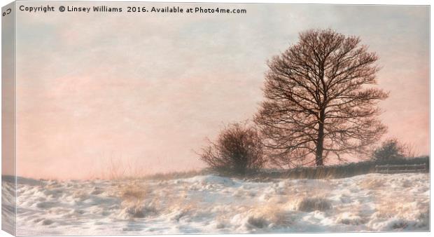 A Misty Winter Sunset Canvas Print by Linsey Williams