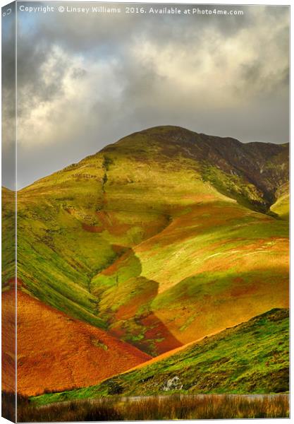 Whiteless Pike, Cumbria Canvas Print by Linsey Williams