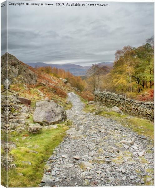 The Lake District, Borrowdale Canvas Print by Linsey Williams