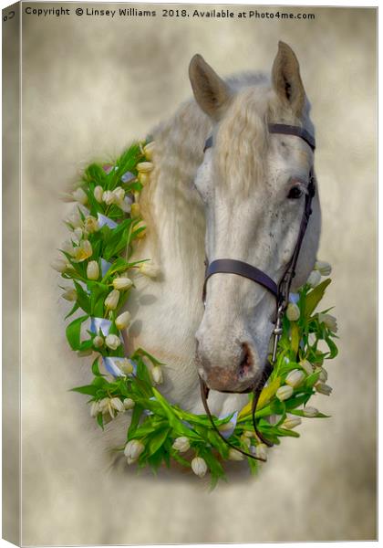 Horse 1 Canvas Print by Linsey Williams