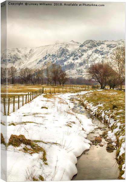 Kirkstone Beck, Cumbria Canvas Print by Linsey Williams