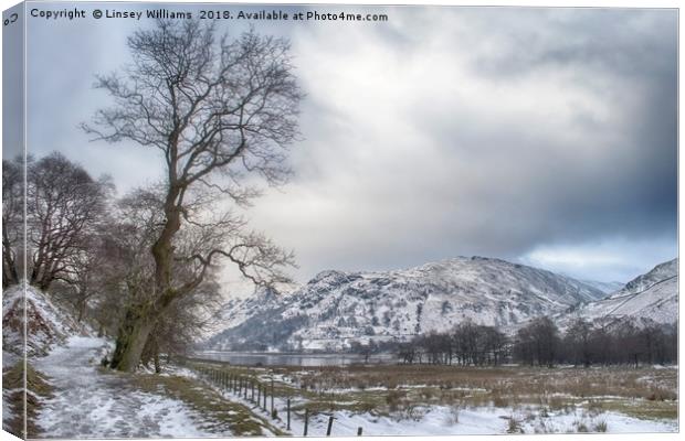 Path to Patterdale 2 Canvas Print by Linsey Williams