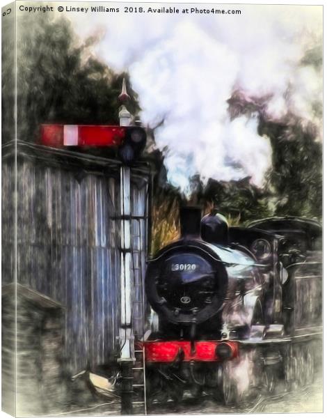 LSWR T9 Class 30120 Canvas Print by Linsey Williams